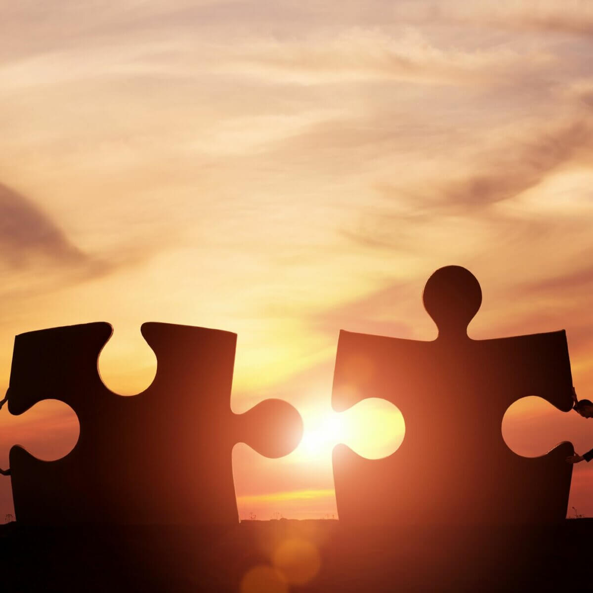 スパン・オブ・コントロールをふまえたマネジメント BELLWETHER(ベルウェザー) スパン・オブ・コントロールをふまえたマネジメント BELLWETHER(ベルウェザー)